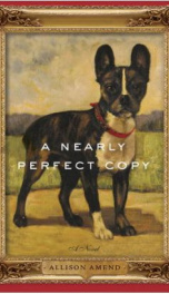 A Nearly Perfect Copy  _cover