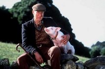 News cover The creator of famous film "Pig Babe" was died