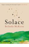 News cover Spend your free time with a good book, for example with Solace by Belinda McKeon