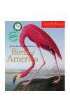 News cover  John James Audubon's "The Birds of America"