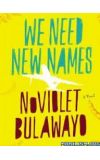News cover We Need New Names by NoViolet Bulawayo